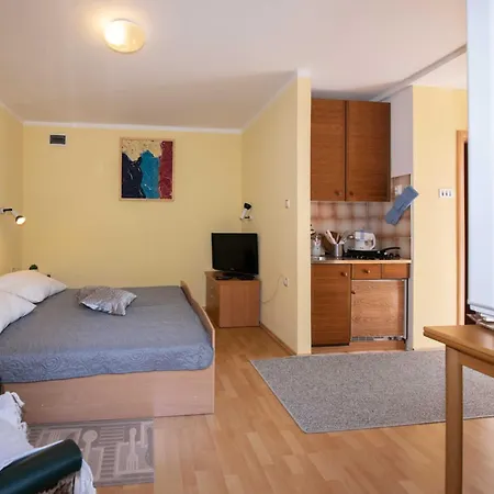 Apartment Elegant With Terrace - With Terrace Opatija